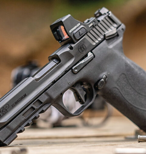 Smith & Wesson M&P22 Magnum