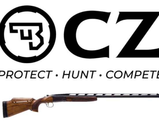 CZ Recall